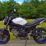 SUZUKI SV 650