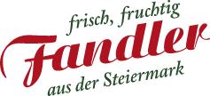 Friedrich Fandler