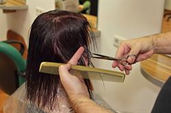 Adam Friseurteam