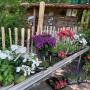 Gartenkonzepte