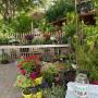Gartenkonzepte
