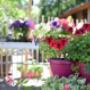 Gartenkonzepte