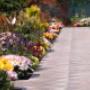 Natursteinweg mit Sommerblumen