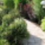 Gartengestaltung Mag. Roman Fuchs