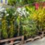 Garten Weilinger