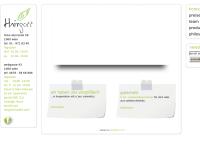 Website von Hairgott - Frisuren