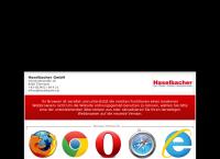 Website von Haselbacher Alois GesmbH