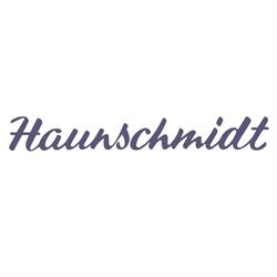 Haunschmidt GesmbH & CoKG