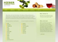Hieber Consulting GmbH