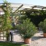 Pergola/Weinlaube aus kesseldruckimprägniertem Holz
erhätlich in verschiedenen Ausführungen, alles ist möglich Pergola/Weinlaube aus kesseldruckimprägniertem Holz
erhätlich in verschiedenen Ausführungen, alles ist möglich