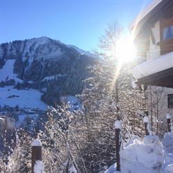 Widdersteinblick Hotel-Pension