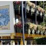 Pension Cafe Konditorei Kaisermann Aussenansicht