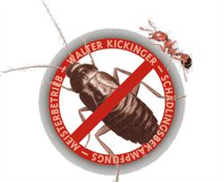 Kickinger Schädlingsbekämpfung GmbH