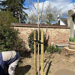 Katona Bau und Garten GesmbH