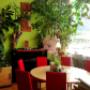 kilin japan asia restaurant 6060