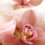 Patricia M Haber