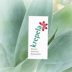 Krepela GesmbH - Floristik Gärtnerei Baumschule