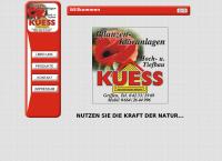 Website von Kuess Bauunternehmungsgesmbh