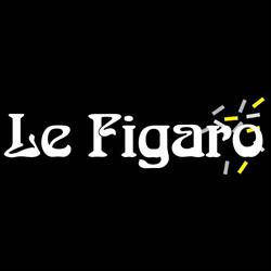 Le Figaro e.U.