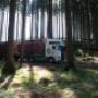Metzler-Holz KG in 6870 Bezau - Fuhrpark