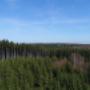 Metzler-Holz KG in 6870 Bezau