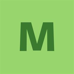 Metzler-Holz KG