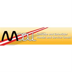 Modul Getriebe und Zahnräder Handel u Service GesmbH