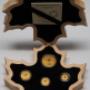 Maple Leaf Fractional Set