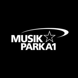 Musikpark a1