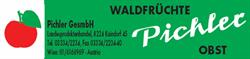 Pichler GmbH