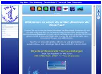 Website von Big Blue - Dive Academy