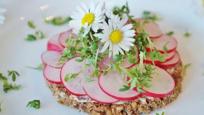 Der-Frühling-kommt-