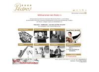 Website von Pedro Masana GmbH