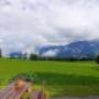 # 75