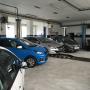Autohaus A. Kampl GmbH & Co KG Verkaufsfläche innen