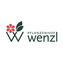 Pflanzenhof Wenzl GmbH
