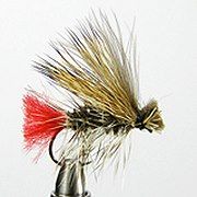 Armin Pijawetz Naturerlebnis Fliegenfischen &outdoor