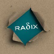 "radix" Marketingberatungs & Trainings GmbH