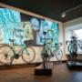 Radshop Fritz e.U.