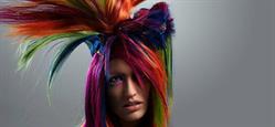 Regenbogenstudio