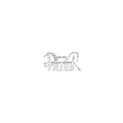 Trieb Reitsport-Sattlerei