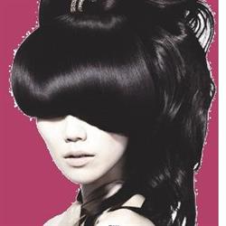 Sandy's Haarstudio