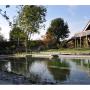Schwimmteich & Gartengestaltung Matheis KG - Schauteich in Würmla Schwimmteich & Gartengestaltung Matheis KG - Schauteich in Würmla