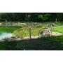 Schwimmteich & Gartengestaltung Matheis KG Schwimmteich & Gartengestaltung Matheis KG