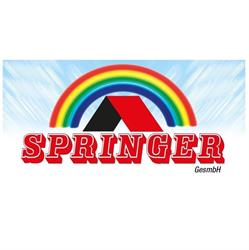 Springer Ges.m.b.h.