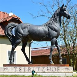 Teiritzhof REIT- und Zuchtgmbh