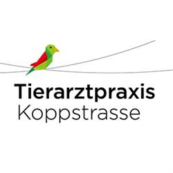 Tierarztpraxis Franz – Mag.med.vet Sonja Franz GPcert Ophthalmologie, GPcert Small Animal Medicine