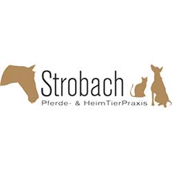 Tierarzt Strobach