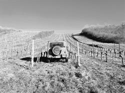 Weinrieder e.U.