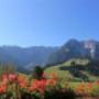 Ausblick Ausblick